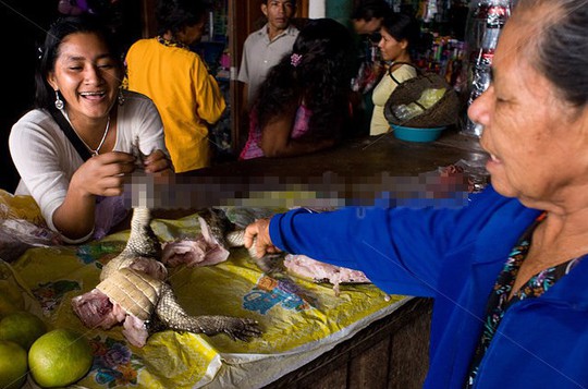 Vì sao thịt cá sấu “cháy hàng” ở Thái Lan? - Ảnh 4.
