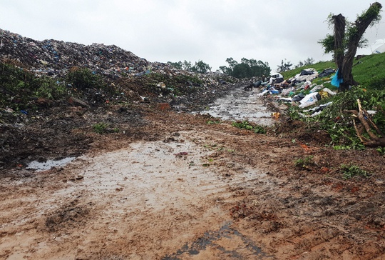 N&uacute;i r&aacute;c khổng lồ đe doạ b&atilde;i biển Sầm Sơn - Ảnh 5.