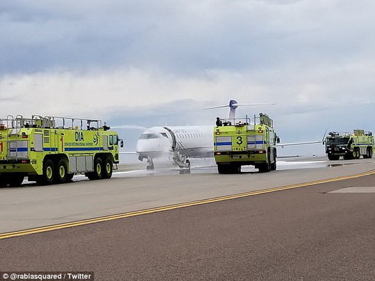 Mỹ: Máy bay cháy động cơ khi vừa hạ cánh - Ảnh 3.