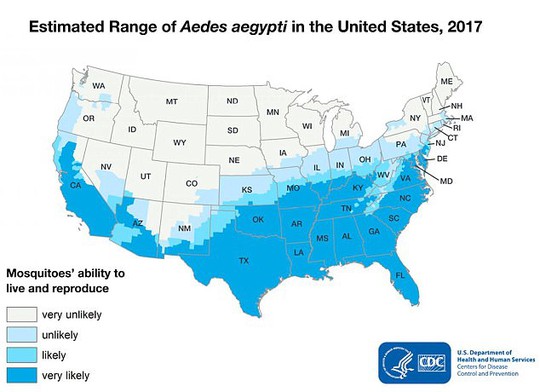 Ngành y tế Mỹ cũng đau đầu vì muỗi Aedes - Ảnh 1.