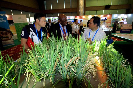 Ngắm những mô hình nông nghiệp độc đáo của Việt Nam tại APEC - Ảnh 5.