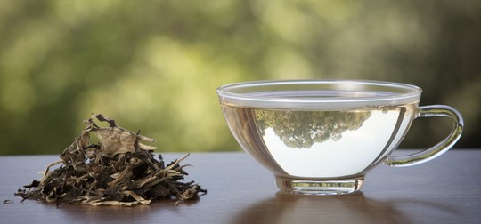 Bạch trà đắt nhất thế giới có gì đặc biệt? - Ảnh 7. Bạch trà đắt nhất thế giới có gì đặc biệt? - Ảnh 7.