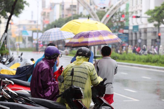 APEC 2017: Người dân Đà Nẵng đội mưa xem quái thú - Ảnh 13.