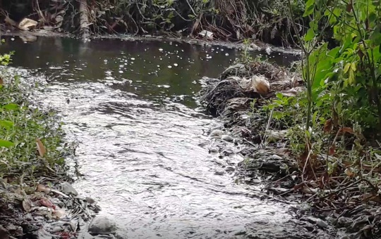 N&uacute;i r&aacute;c khổng lồ đe doạ b&atilde;i biển Sầm Sơn - Ảnh 6.