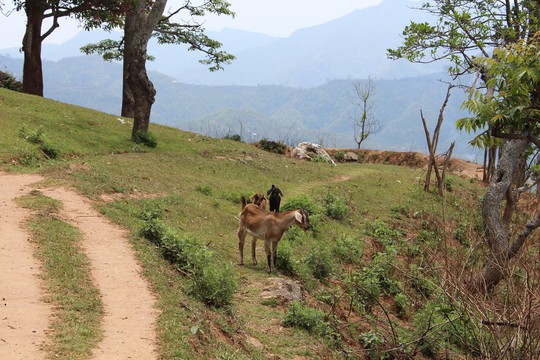 Cuốc bộ và quá giang ở Nepal  - Ảnh 5.