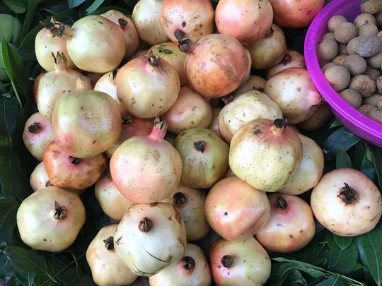 6 loại trái cây Trung Quốc đang tràn ngập chợ Việt Nam - Ảnh 3.
