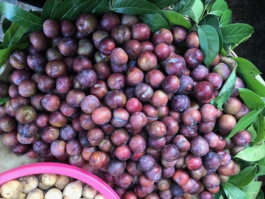 6 loại trái cây Trung Quốc đang tràn ngập chợ Việt Nam - Ảnh 4.