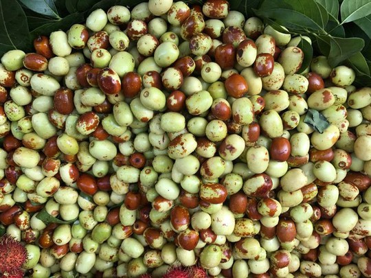 6 loại trái cây Trung Quốc đang tràn ngập chợ Việt Nam - Ảnh 6.
