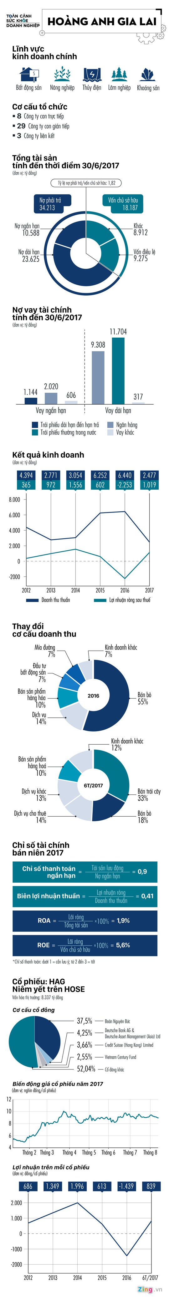 Hoàng Anh Gia Lai và cú chuyển mình trồng trái cây của bầu Đức - Ảnh 1.