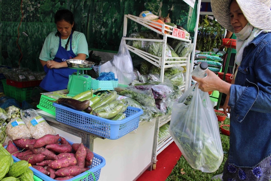 Nghe được tin có hội chợ nông sản, cô Phú (ngụ Phạm Văn Hai, quận Tân Bình) có mặt rất sớm để mua được rau sạch tại hội chợ.
