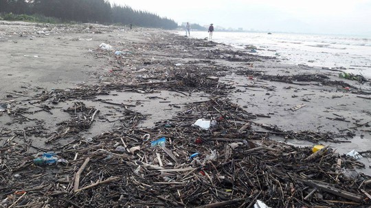 Hơn 1 km bờ biển Đà Nẵng tràn ngập hàng trăm tấn rác - Ảnh 5.