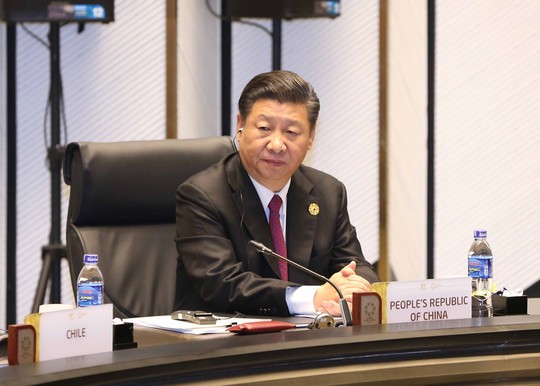 Chủ tịch nước: Thông qua Tuyên bố Đà Nẵng tại APEC 2017 - Ảnh 10.