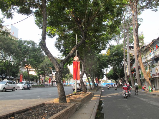 Đốn hạ 27 cây xanh trên đường Lê Lợi để xây dựng metro - Ảnh 1.