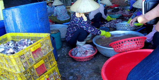Kiên quyết đóng cửa cơ sở chế biển hải sản dùng hóa chất - Ảnh 2. Kiên quyết đóng cửa cơ sở chế biển hải sản dùng hóa chất - Ảnh 2.
