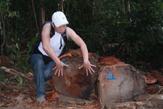 Cận cảnh công trường khai thác gỗ lậu khủng ở Đắk Lắk - Ảnh 3.