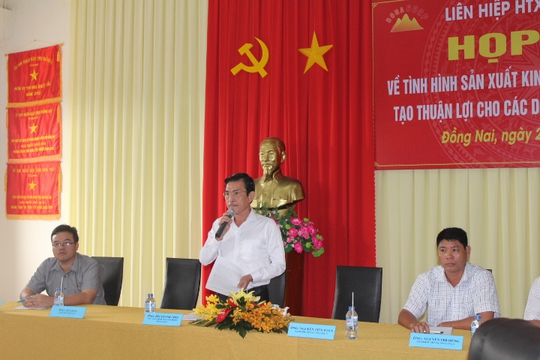 Dự