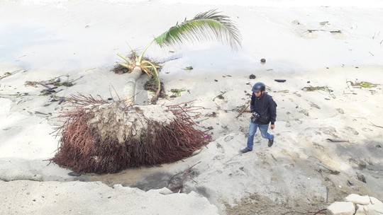Chùm ảnh: Bờ biển Cửa Đại tan hoang hơn 2 km - Ảnh 7.