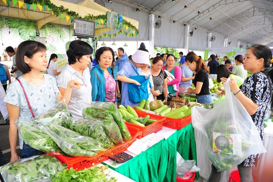 Ngày hội Nông trại xanh Phú Mỹ Hưng lần 2-2017 - Ảnh 2.