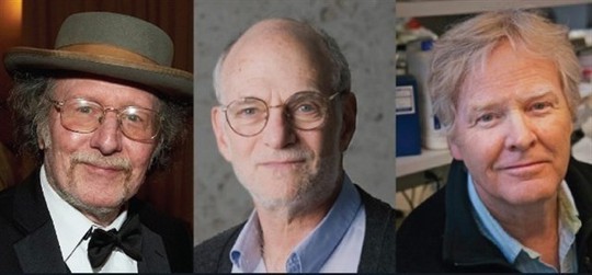 Giải Nobel Y học về tay 3 nhà khoa học người Mỹ - Ảnh 1.