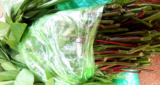 Canh rau sắn nấu cá: Đặc sản miền trung du Phú Thọ - Ảnh 1.
