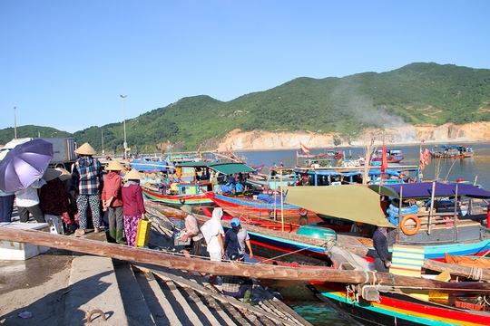 Ngư dân Hà Tĩnh thỏa sức bắt cá trích - Ảnh 1.