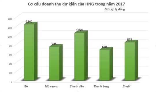 Tôi cam đoan Đoàn Nguyên Đức không có công ty riêng nào cả - Ảnh 1.