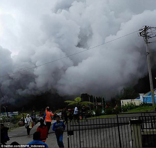 Đi cứu nạn nhân núi lửa, 8 người chết do rơi trực thăng - Ảnh 1.