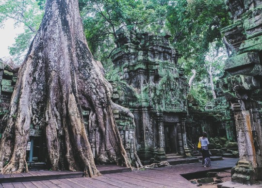 Ta Prohm - ngôi đền của những rễ cây kỳ dị  - Ảnh 2.