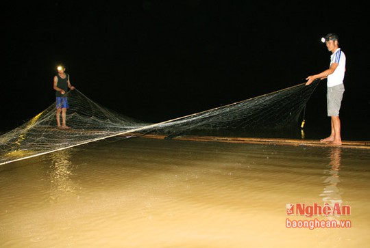 Săn cá đặc sản ở Nghệ An - Ảnh 1. Săn cá đặc sản ở Nghệ An - Ảnh 1.