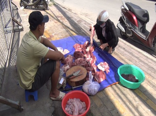 Dân tự giải cứu heo, cơ quan chức năng lo heo bệnh trà trộn - Ảnh 1.