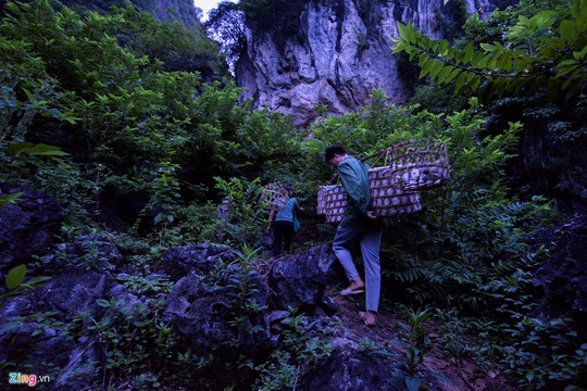 Nhọc nhằn trồng na trên núi đá - Ảnh 1.