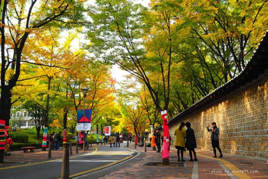Con đường dính lời nguyền chia tay người yêu ở Hàn Quốc - Ảnh 1.