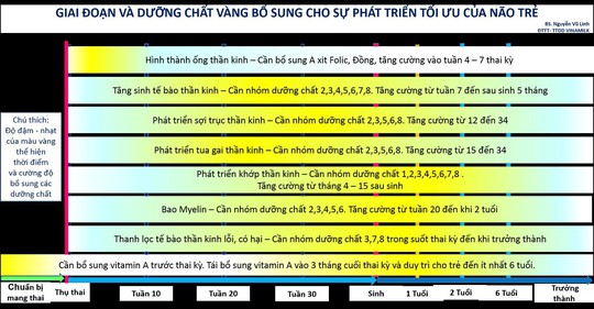 Dinh dưỡng vàng cho phát triển não bộ trong những năm tháng đầu đời - Ảnh 1.