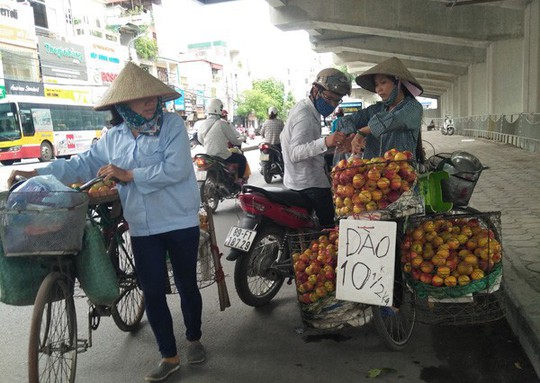  Hà Nội: 80% trái cây tại các chợ đầu mối không rõ nguồn gốc - Ảnh 1.