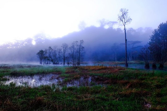 Mục sở thị hồ nước đẹp hàng đầu tại miền Nam Việt Nam - Ảnh 11.