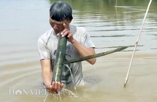 Cuối mùa săn cá bống ở đáy sông Trà Khúc - Ảnh 4.