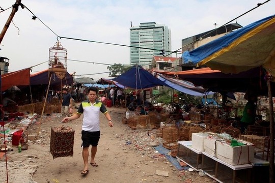 Những khu chợ chỉ bán một mặt hàng ở Việt Nam - Ảnh 14.