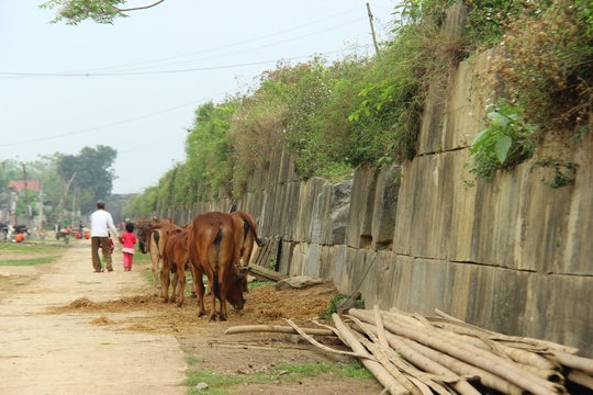 Hoang phế kinh thành yểu mệnh nhà Hồ - Ảnh 18.