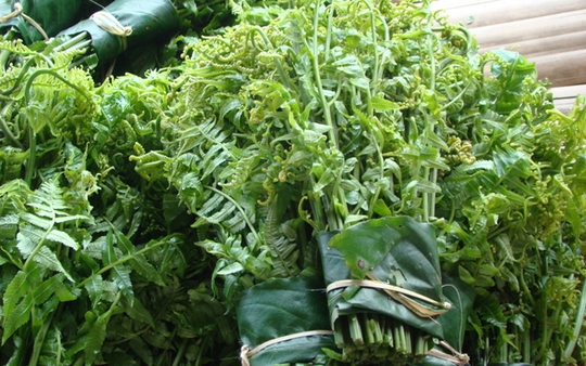 4 loại "rau trường thọ" mọc đầy ở Việt Nam