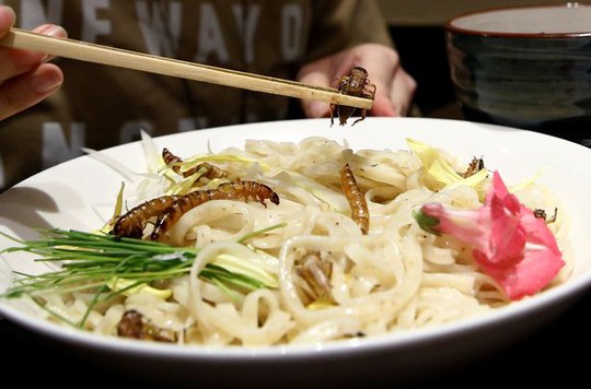 Một thực khách thưởng thức món mì côn trùng với sâu và dế chiên tại nhà hàng Nagi. Ảnh: Reuters.