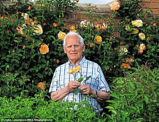 Mê mẩn vườn hồng hơn 1.000 gốc của cụ ông 91 tuổi - Ảnh 3.
