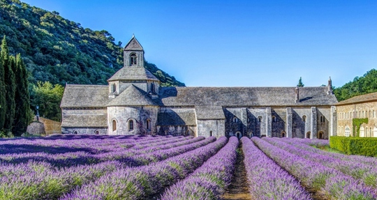 Thiên đường oải hương tràn sắc tím giữa lòng Provence - Ảnh 5.