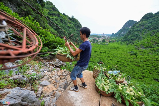 Nhọc nhằn trồng na trên núi đá - Ảnh 4.