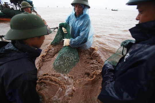 Cận cảnh bắt hàng trăm tấn ngao ở biển Tiền Hải - Ảnh 4.