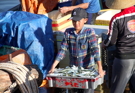 Ngư dân Hà Tĩnh thỏa sức bắt cá trích - Ảnh 5.