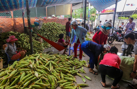 Chợ bắp lớn nhất Sài Gòn - Ảnh 5.