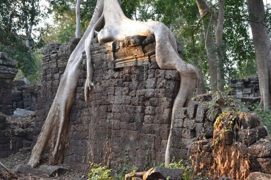 Ngôi đền bí ẩn lâu đời hơn cả Angkor Wat ở Campuchia - Ảnh 7.