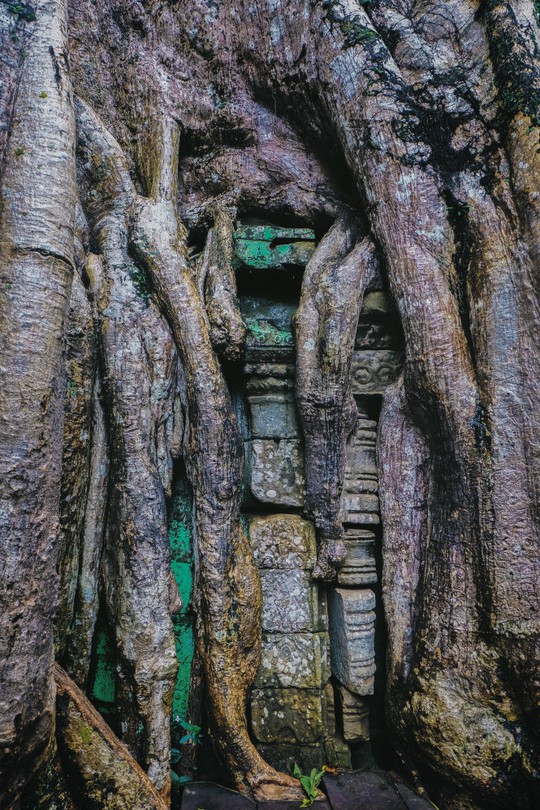 Ta Prohm - ngôi đền của những rễ cây kỳ dị  - Ảnh 8.