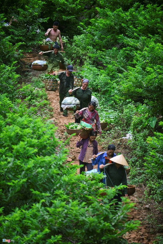 Nhọc nhằn trồng na trên núi đá - Ảnh 7.