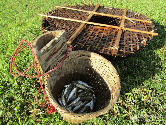 Chiêu độc săn cá suối của trẻ em vùng cao Nghệ An - Ảnh 8.